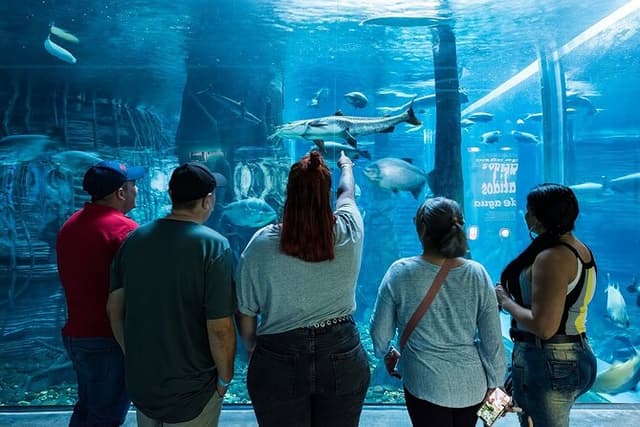 Parque Explora Medellín: Tickets