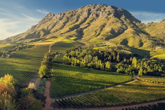 Stellenbosch Wine Walk with 8 Wine Tastings - Snacks - Stories