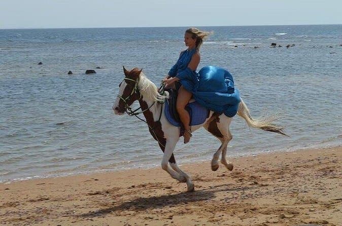 Compare Top Nabq Bay Horse Riding Tours
