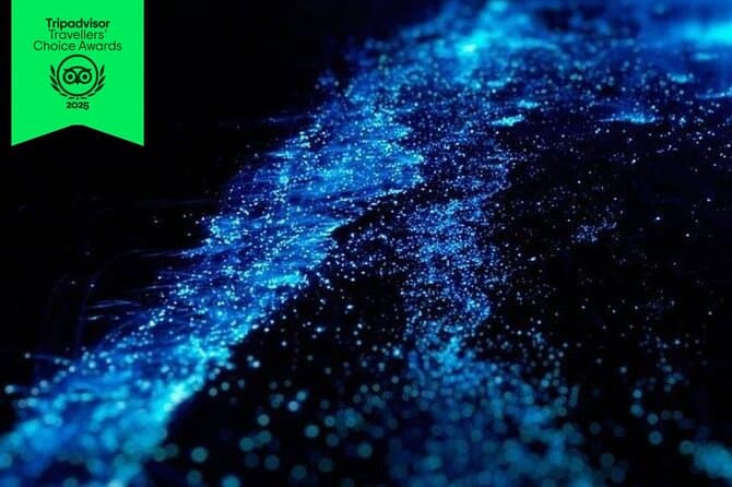 Best Bioluminescence Tours in Puntarenas, Costa Rica