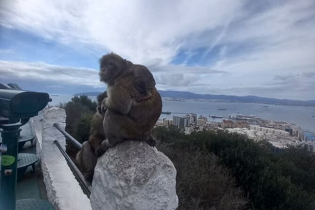 Private Tour to Gibraltar from Jerez or Cadiz with Official Guide