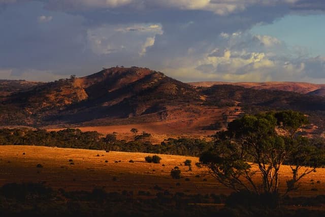 Burra Township to Mount Bryan History and Landscape Day Tour
