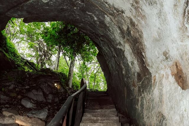 Full Day Santa Cruz Rancho and Lava Tunnels Tour of Bahia