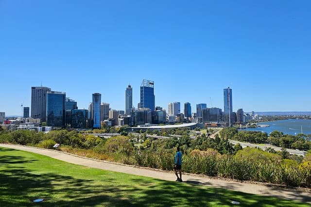 Perth, Penguin Isand, Dolphin Cruise, Fremantle & Sunset Coast