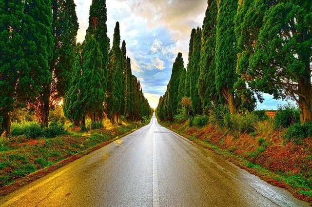 Livorno Experience Coast Tour and Wine Tasting