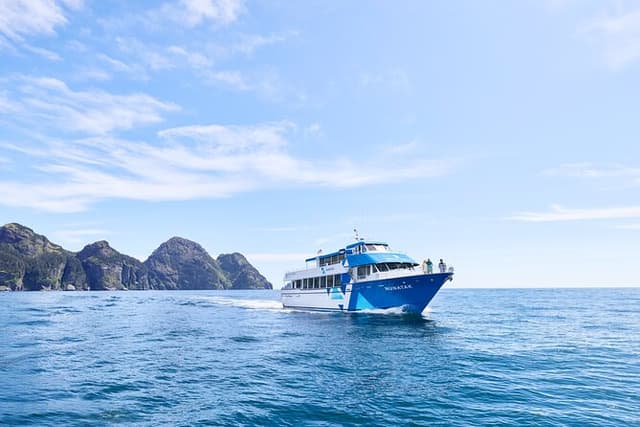 Half-day Resurrection Bay & Wildlife Tour from Seward