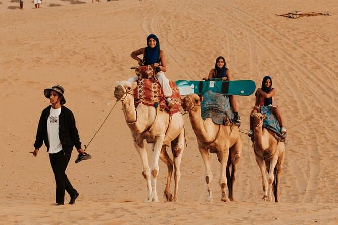 Best Agadir Camel Rides: Authentic Desert Experiences