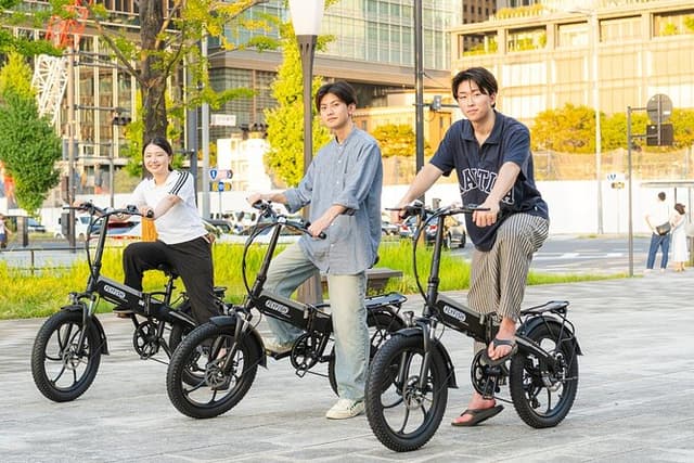 Tokyo: Private 2-Hour E-Bike Ride, City or Imperial Palace