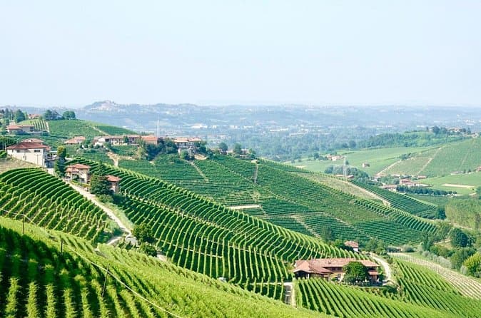 Best Barolo Wine Tours from Milan
