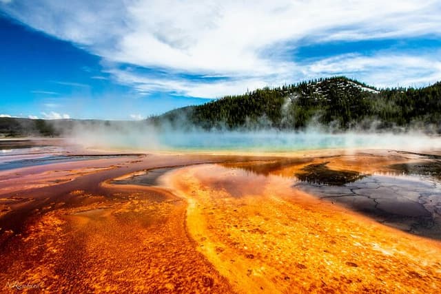 Private Tour of Yellowstone Lower Loop