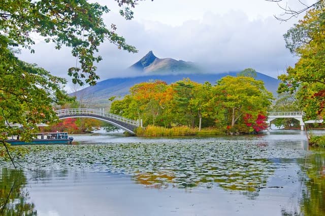 Full-Day Private Shore Tour Hakodate Highlights by Van
