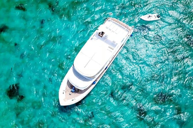 Top-Rated Snorkeling Tours at Hula Hula Island
