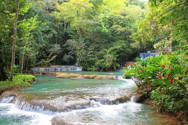 YS Falls and Black River Safari South Coast from Negril Jamaica