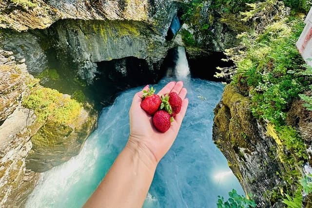 Alesund Private Troll Road Adventure with Strawberry Valley