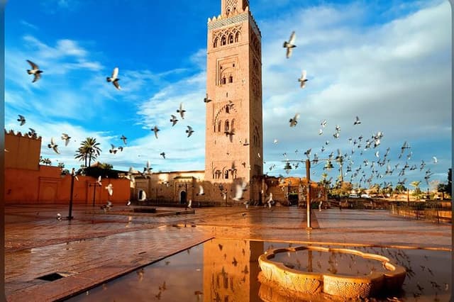 Marrakech EN Private 4h & Entrances Included and Driver Polyglot