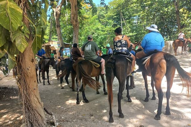 Horse Back Riding in Ocho Rios