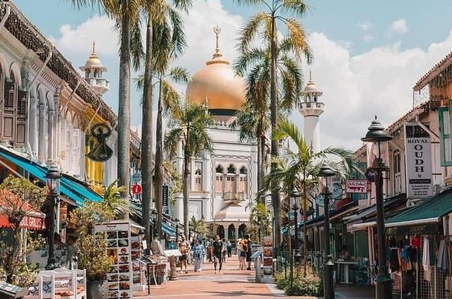 Singapore Cultural Heritage on a Private Walking Tour