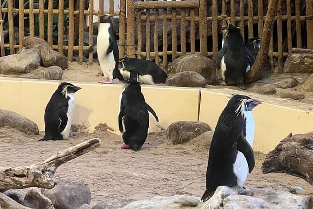 Robben Island & Aquarium Tour with Tickets & Transfers Included