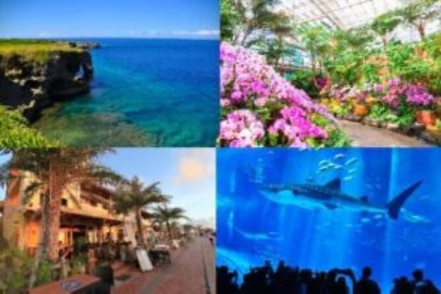 Okinawa HIP-HOP BUS B - 1 Course Tour (Okinawa Churaumi Aquarium)