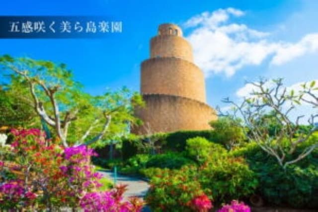 Okinawa HIP-HOP BUS B - 2 Course Tour (Okinawa Churaumi Aquarium)
