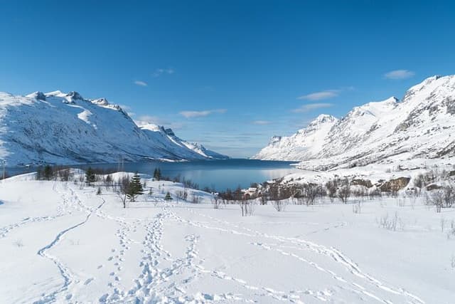 Arctic Fjords Road Trip