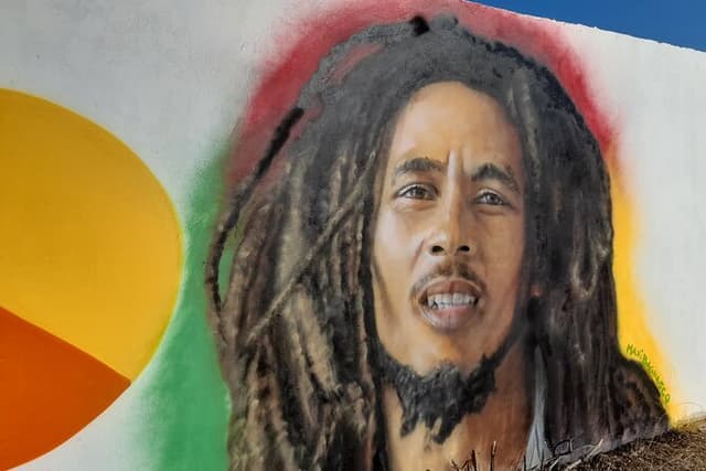 VIP Private Bob Marley Museum Experience– Montego Bay to Kingston
