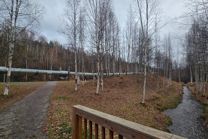Explore Fairbanks: The Ultimate City Tour & Local Guide