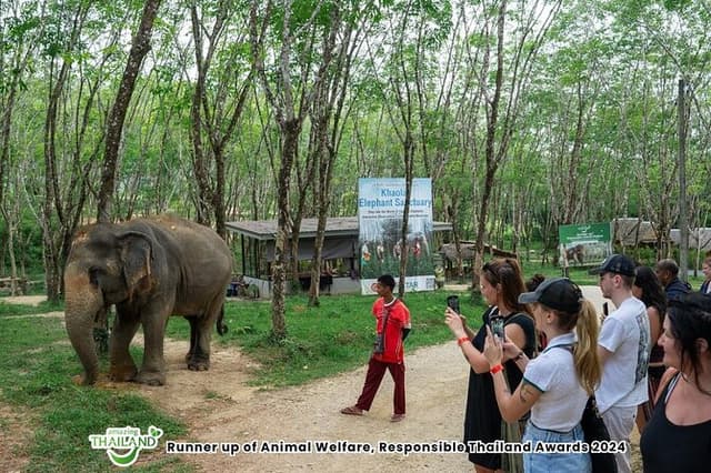 Khao Lak Elephant Observation, Thai Cooking Class & Waterfall