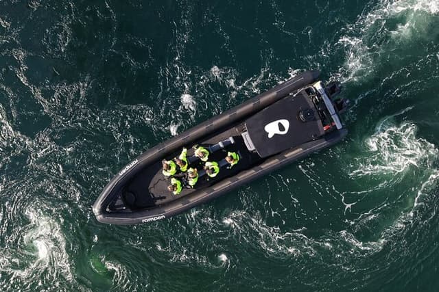 Zodiac Experience Saltstraumen and Eagle Safari