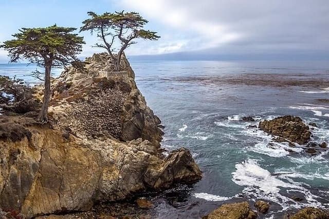 Monterey, Big Sur, 17 Mile Dr. 3.5 hrs Private Tour 1 - 12 ppl