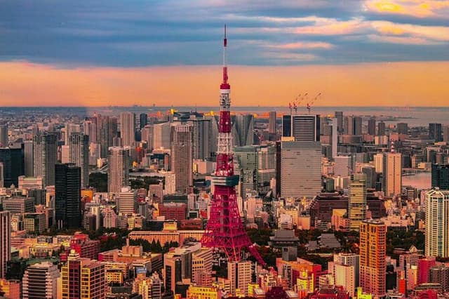 Private and Customisable Tokyo Tour with English-Speaking Driver
