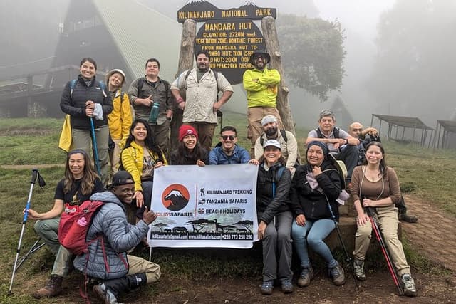 Kilimanjaro one day hike experience