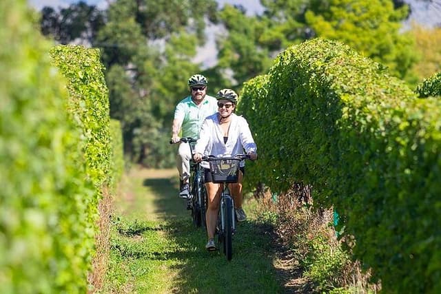 Self-Guided Wine Tours by Bike with Lorelle & Greg
