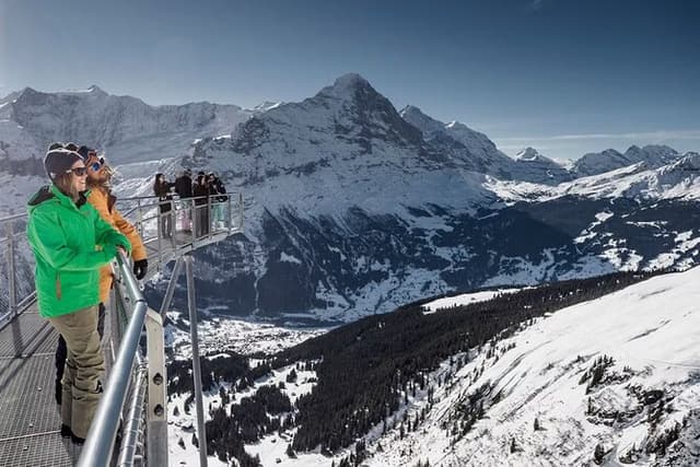 Bernese Oberland Winter Edition from Zurich (Private Tour)
