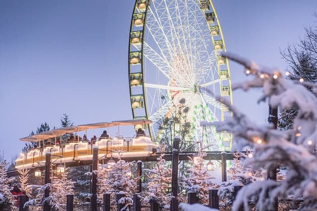 From Zurich: Europa-Park Winter Wonderland Private Day Tour