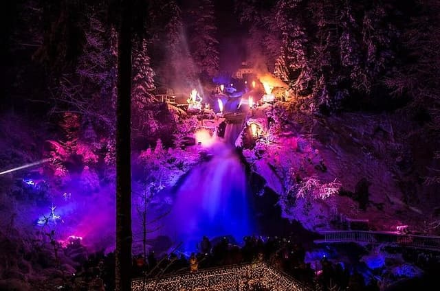 Black Forest Fairytale Tour (Private Tour)