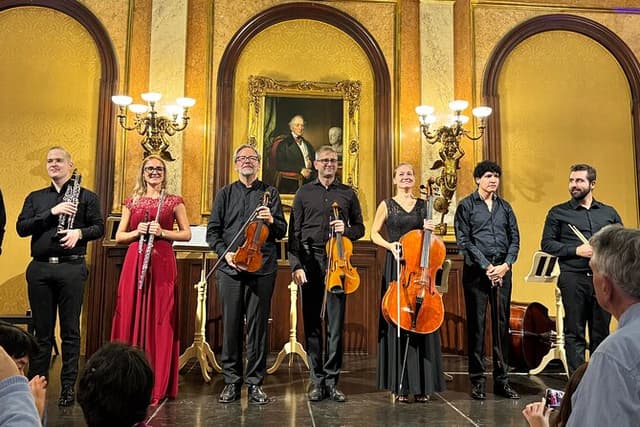 Vienna Private Classical Music Tour: Museum Entry & Concert