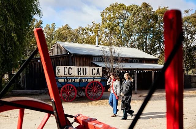 Murray River Echuca Wharf to Winery Experience | Private Tour