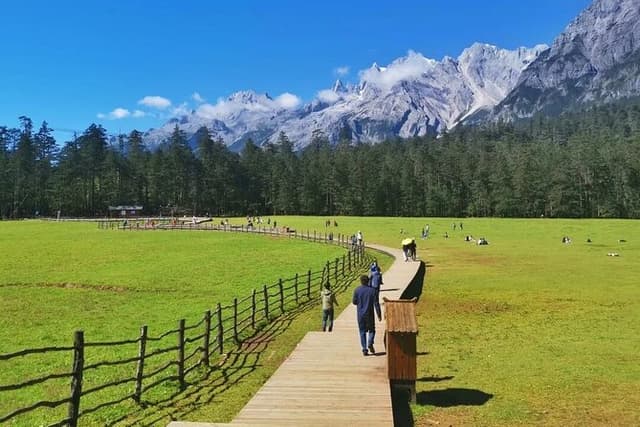 1-Day Jade Dragon Snow Mountain & Dongba Culture Experience