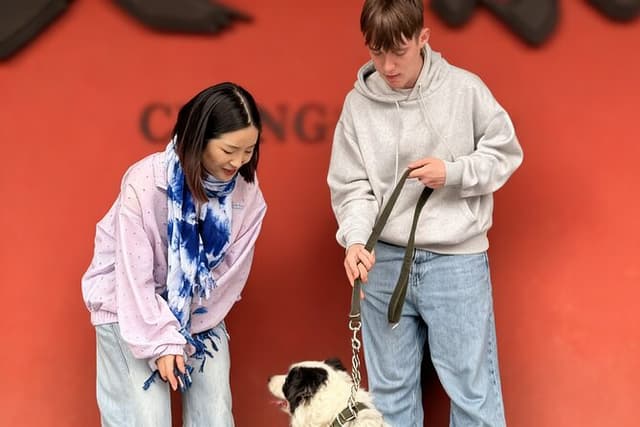 Private Xian Ancient Wall City Walk with dog and Journalist Guide