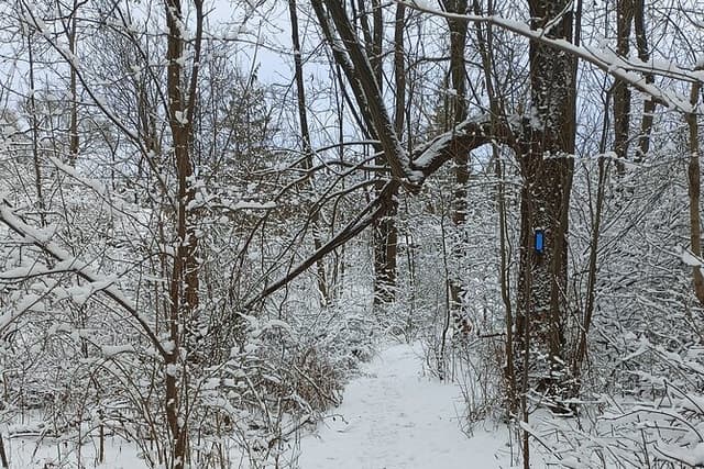Complete Guided Tour of Niagara Attractions and Trails