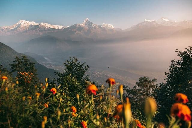 Full Day Car Drive to Explore Places of Interest of Pokhara