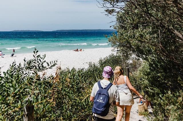 From Sydney: Day Tour to Jervis Bay with Beaches and Koalas