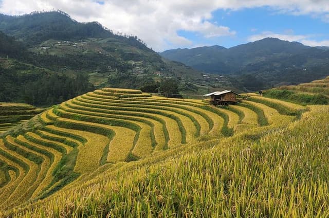 Mu Cang Chai Private Full-Day Car Tour with Local Hmong Guide