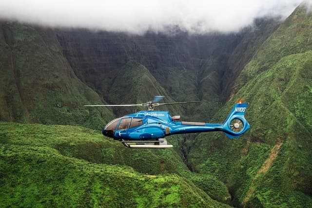 Hana Rainforest Scenic Helicopter Tour