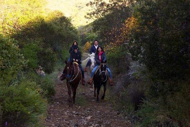 Horse Riding in the Mountain