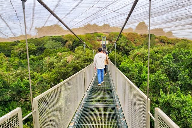 Aviary Tour and Tricao Park with Tasting in Undurraga Vineyard