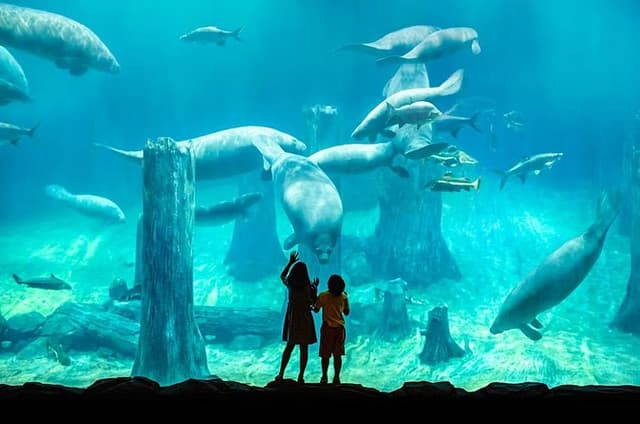 River Wonders Admission Pass in Singapore