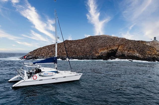 Sea lions tour palomino island in catamaran callao lime Peru