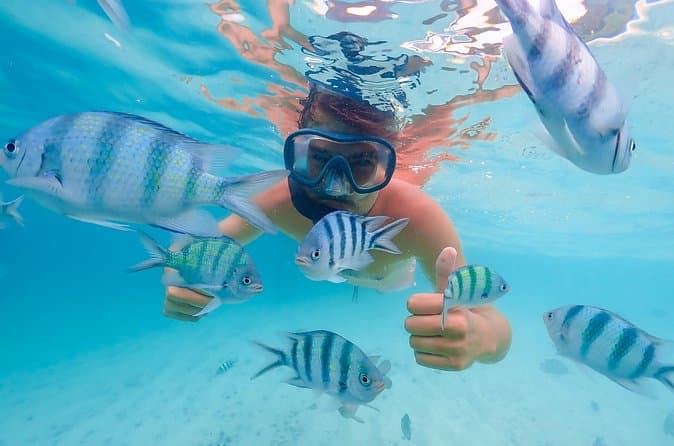 Top-Rated Bacardi Island Excursions